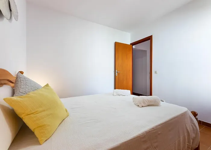 Art 캔 피카폴트